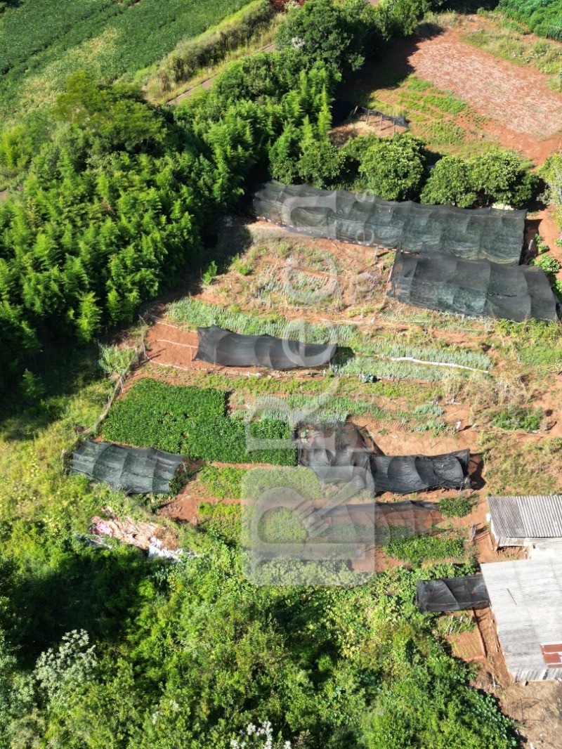 LOTE 001 FRAÇÃO DE TERRAS DE CULTURA, com a área de 47.555,72m², localizado em Carazinho - RS