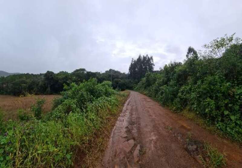 Leilão de imovel Imóvel em David Canabarro/RS - Lance Inicial R$ 163.350 - Judicial