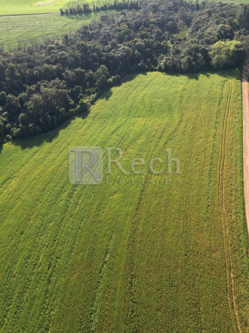 Imagem do imóvel LOTE 006 UMA ÁREA DE TERRAS RURAIS com área superficial de 64.000,00m²