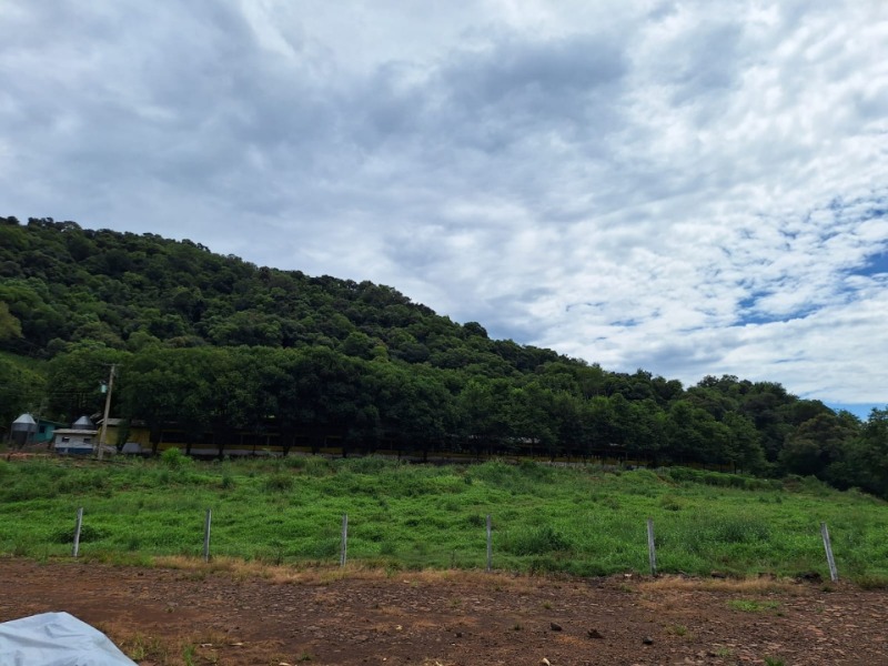 Imagem do imóvel LOTE 004 PARTE LOTE RURAL Nº 114, da primeira secção Baitaca, com a área de 50.000m², na Linha São M