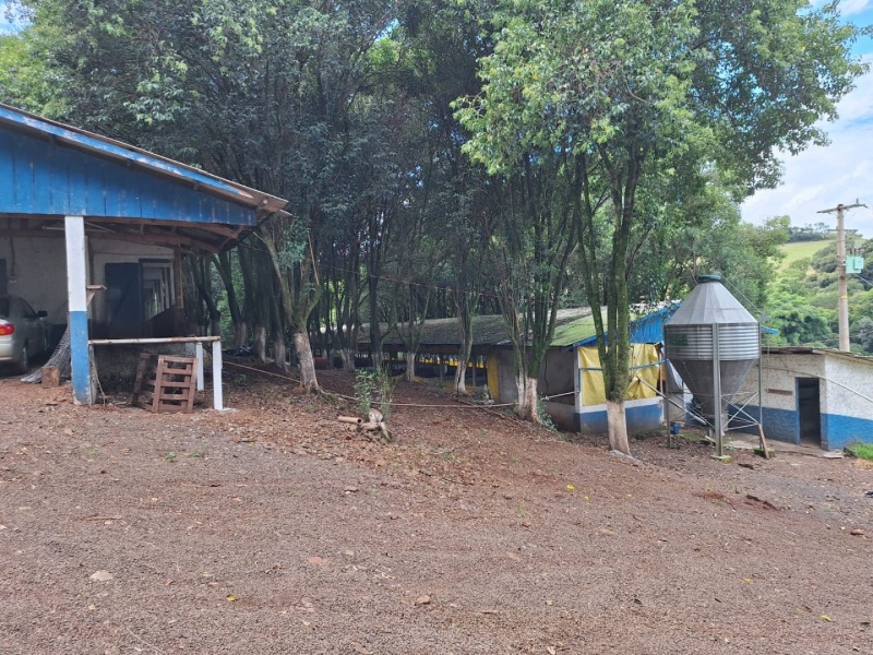 Gleba (foto 2 de 6)