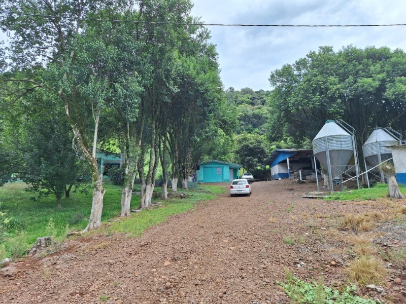 Gleba (foto 3 de 6)