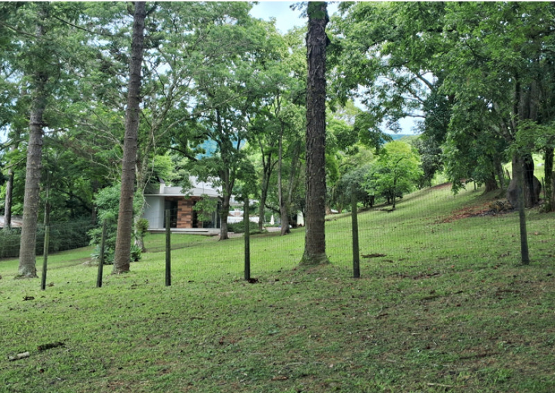 Imagem do imóvel LOTE 014 50% DA ÁREA DE TERRAS E 50% DAS BENFEITORIAS DE UM TERRENO URBANO COM A SUPERFÍCIE DE 7.200