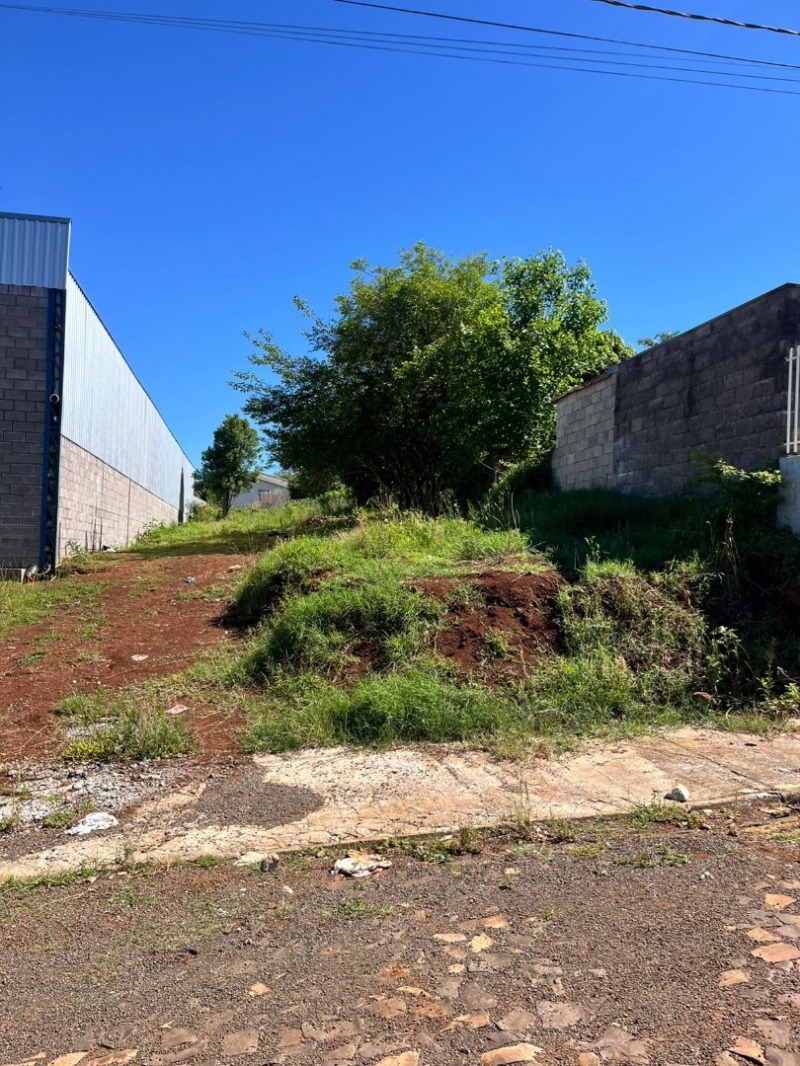 Terreno (foto 4 de 5)