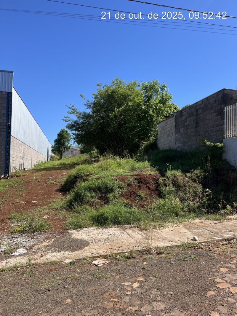 Terreno (foto 5 de 5)