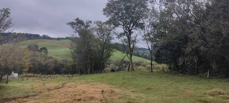 Gleba (foto 2 de 7)