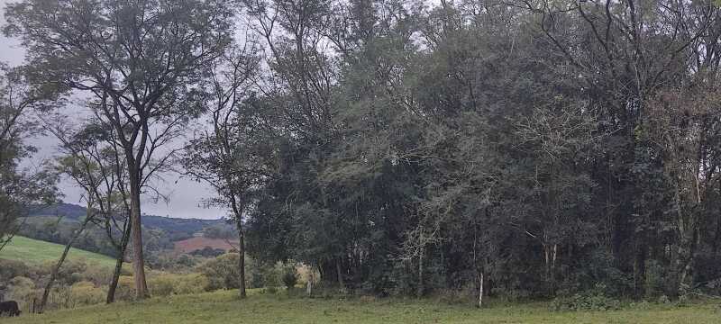 Gleba (foto 4 de 7)