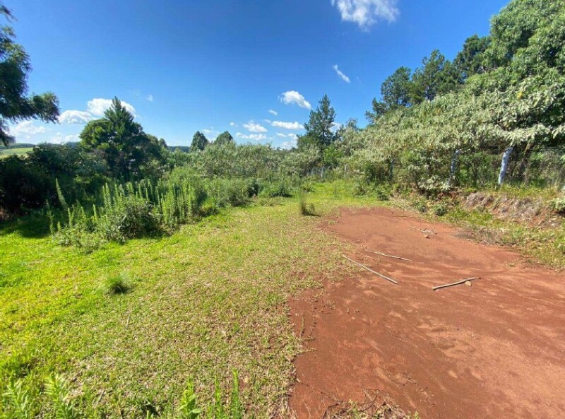 Imagem do imóvel LOTE 024 Terreno Urbano, com área de 589.27m², em Erval Grande/RS