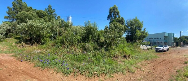 Terreno (foto 2 de 6)