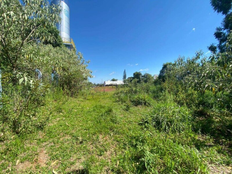 Terreno (foto 3 de 6)