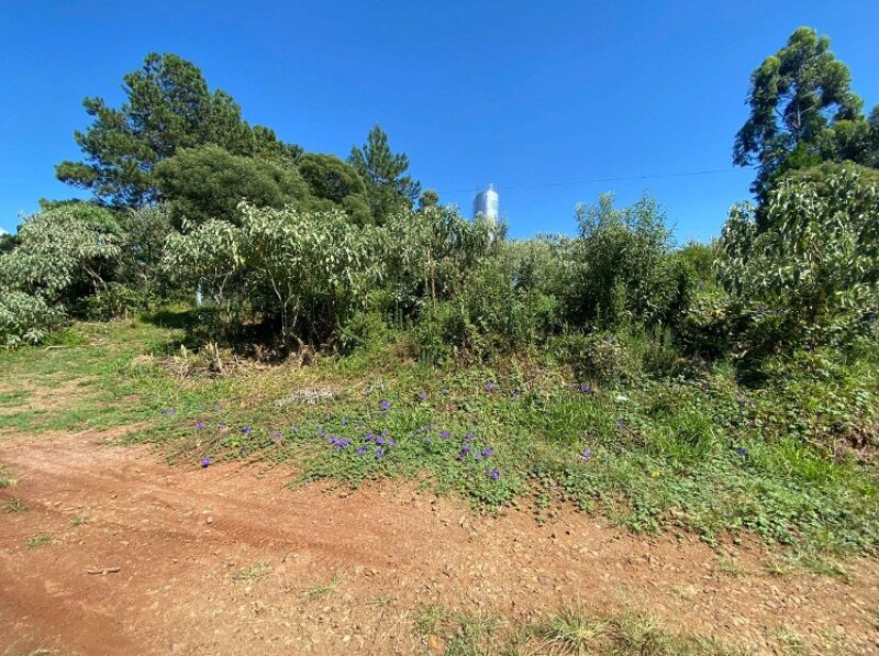 Terreno (foto 4 de 6)
