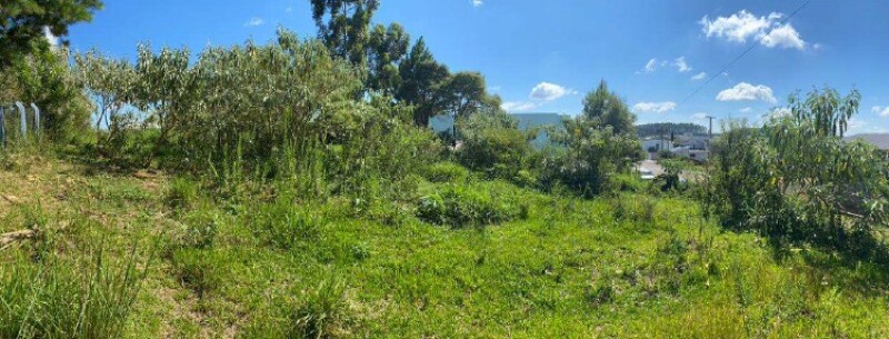 Terreno (foto 5 de 6)