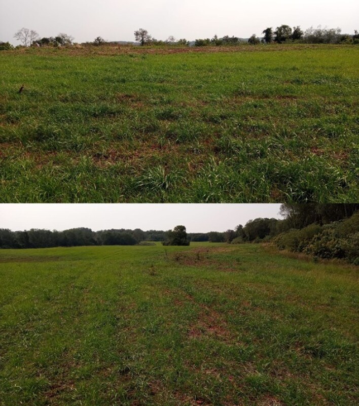 Imagem do imóvel LOTE 025 Partes dos Lotes Rurais nºs “123 e 124” com a área de 84.778,00 m² e parte do lote rural nº
