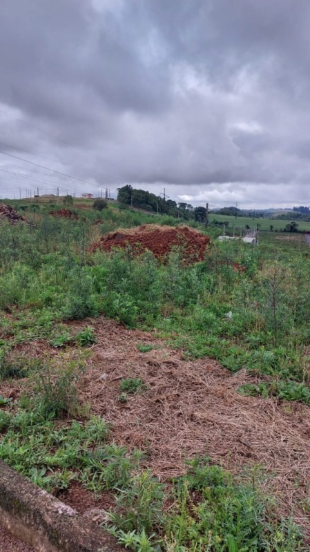 Terreno no Primavera (foto 6 de 6)