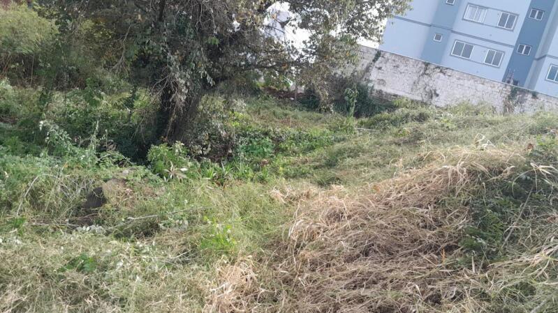 Imagem do imóvel LOTE 080 Lote Urbano nº. 14 da Quadra nº. 4189, com área de 5.027,229m², na Rua Aquiles Tomazelli, B