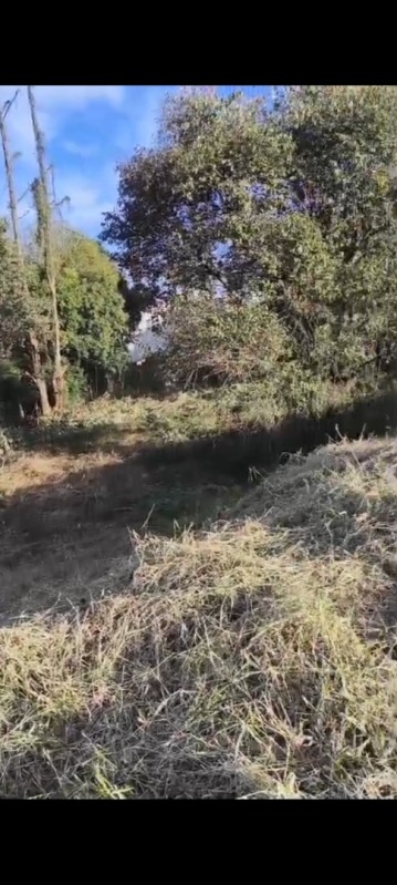 Terreno no Jardim Itália (foto 4 de 5)