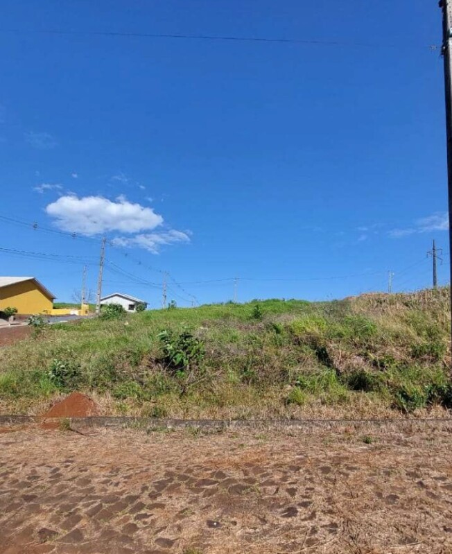 Terreno no Primavera (foto 4 de 5)