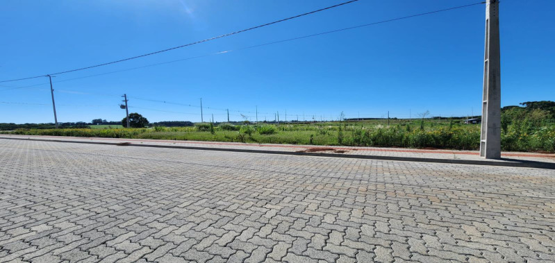 Terreno (foto 4 de 5)