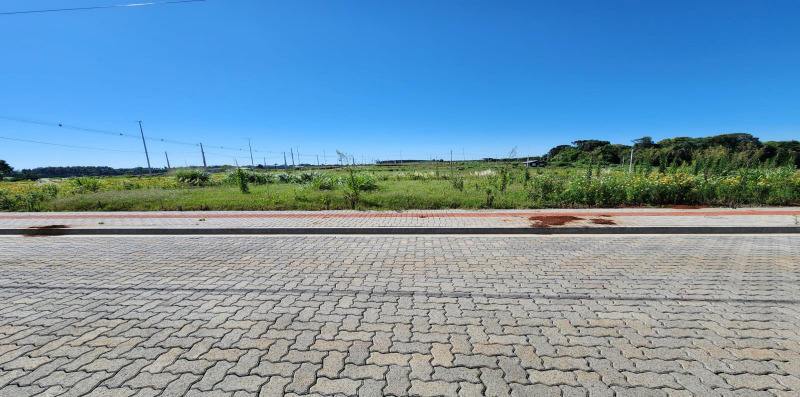 Terreno (foto 5 de 5)