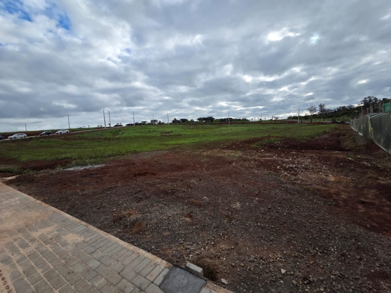 Terreno (foto 4 de 7)