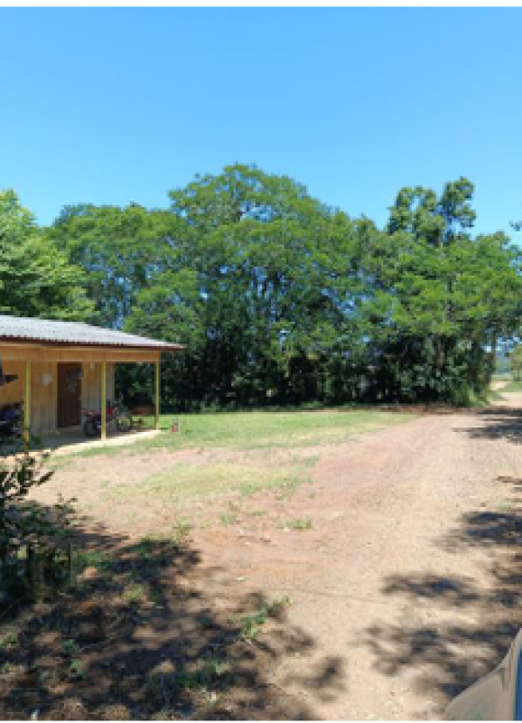 Gleba no Pinheirinho (foto 3 de 5)